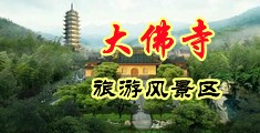美国大鸡巴操骚逼性爱中国浙江-新昌大佛寺旅游风景区